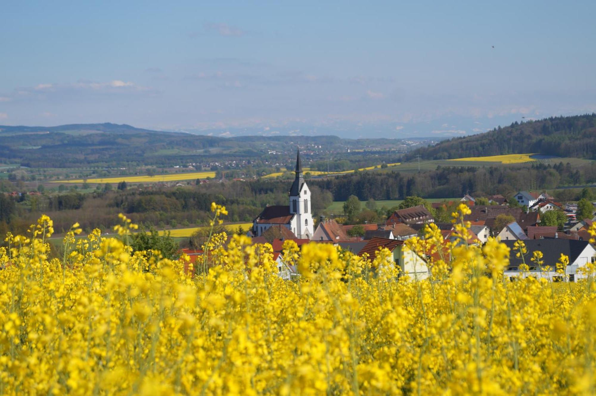 Landhotel Schellenberg Uberlingen Esterno foto
